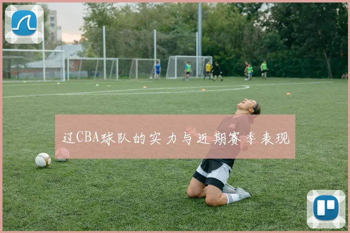 辽CBA球队的实力与近期赛季表现